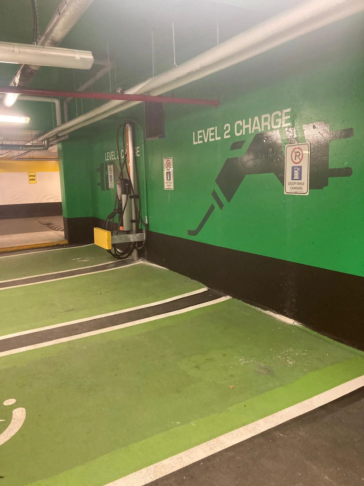 WhatsApp-Image-2025-03-27-at-3.25.19-PM